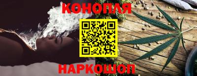 apvp Дмитров